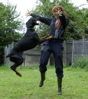 Dog Dancing o Freestyle canino