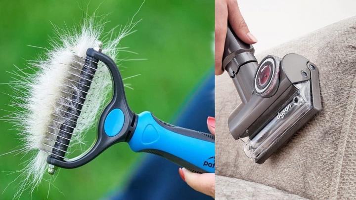 Cómo escoger el cepillo adecuado para quitar los pelos de tu perro