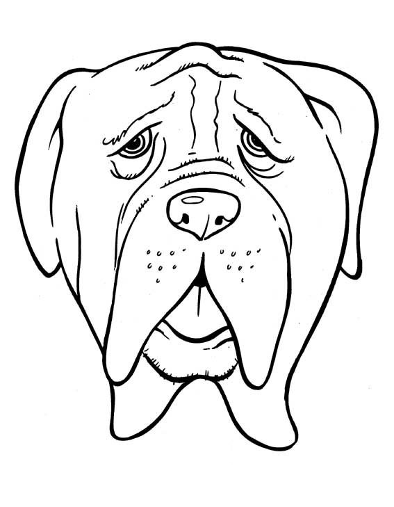 Dibujos de razas de perros para pintar