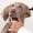 Consejos para limpiar bien las orejas de un perro