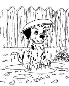 dibujo perro dalmata2