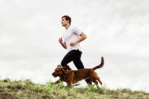 7 beneficios de hacer deporte con tu perro