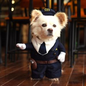 Disfraz para perros policía