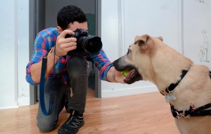 Fotografiar perros