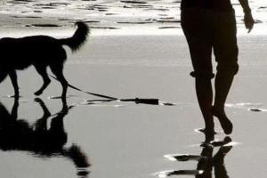 Las 10 mejores playas para ir con nuestros perros