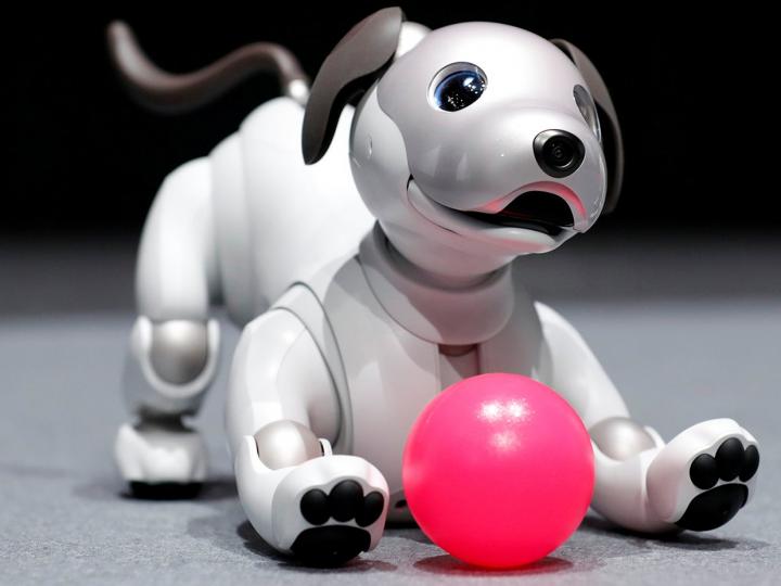 Los 9 mejores perros robots de juguete