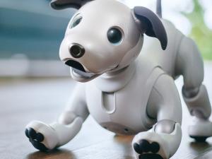 ¿Los perros robot serán las mascotas del futuro?