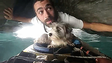 Como hacer 5.000 km de kayak con tu perro (1)
