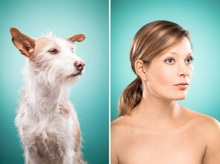 Humanos imitando a sus perros  (10)