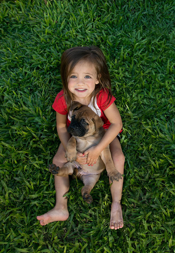 Perros cuidando de bebes (28)