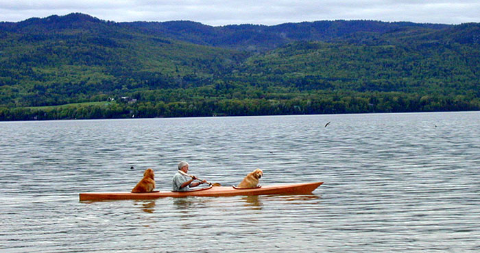 Perros navegando kayak junto a su dueno (2)